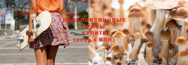 бошки Дмитриев