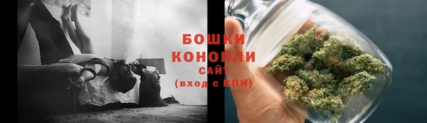 бошки Дмитриев