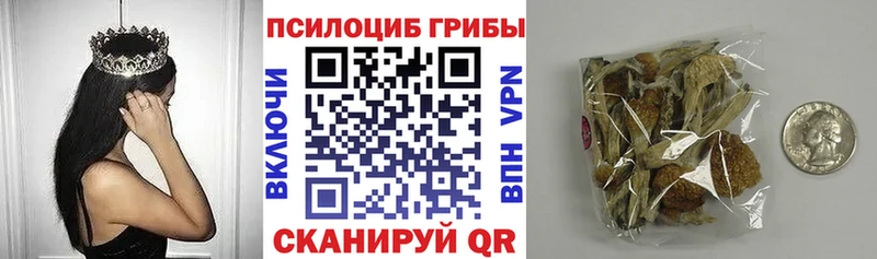 Псилоцибиновые грибы Cubensis  Купить  Курчатов 